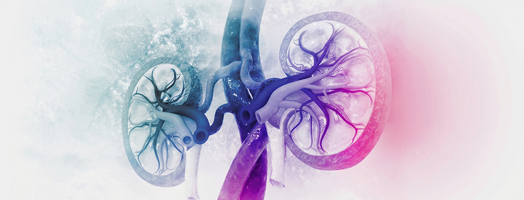 Avendus Capital Advises NephroPlus and Its Shareholders on an Investment From Investcorp. Healthcare. Private Equity